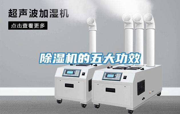 91看片软件大全的五大功效